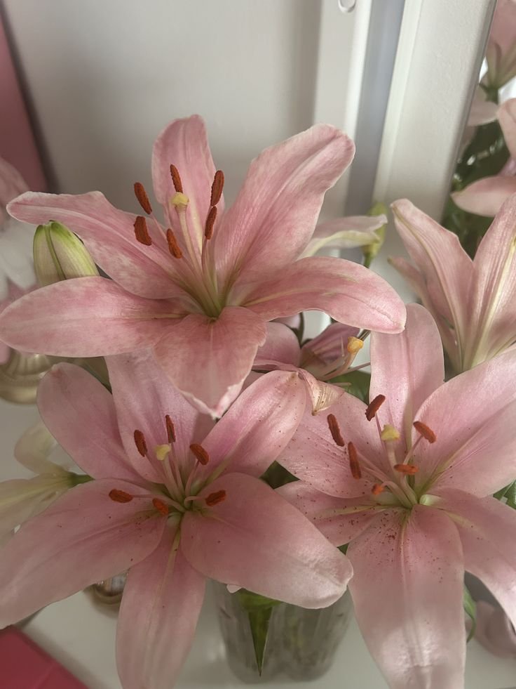 🌸 tweet media