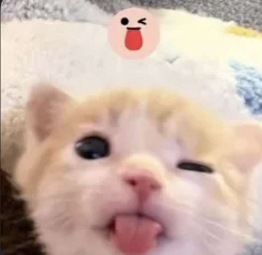 overcupid's tweet photo. :p https://t.co/dDYHP452Nb