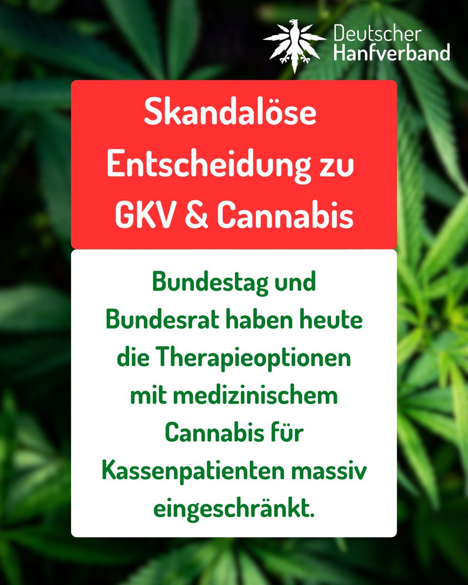 hanfverband's tweet photo. Skandalöse Entscheidung: Bundestag und Bundesrat schränken Cannabis-Therapien für Kassenpatienten massiv ein. Die Erstattung von Blüten entfällt komplett und Extrakte sind für 6 Monate gesperrt. Profiteur ist ein Großspender von CSU, SPD und CDU. https://t.co/CNPd6bVlec https://t.co/61wAr4QSyR