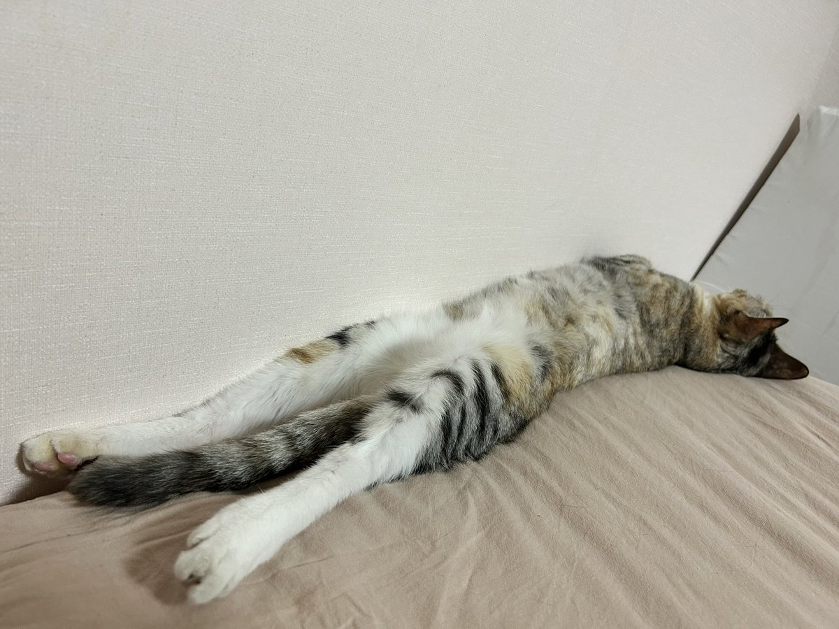 daehongsi's tweet photo. ㅋㅋㅋㅋㅋ 진짜 길다 https://t.co/BtBPBBHBWa
