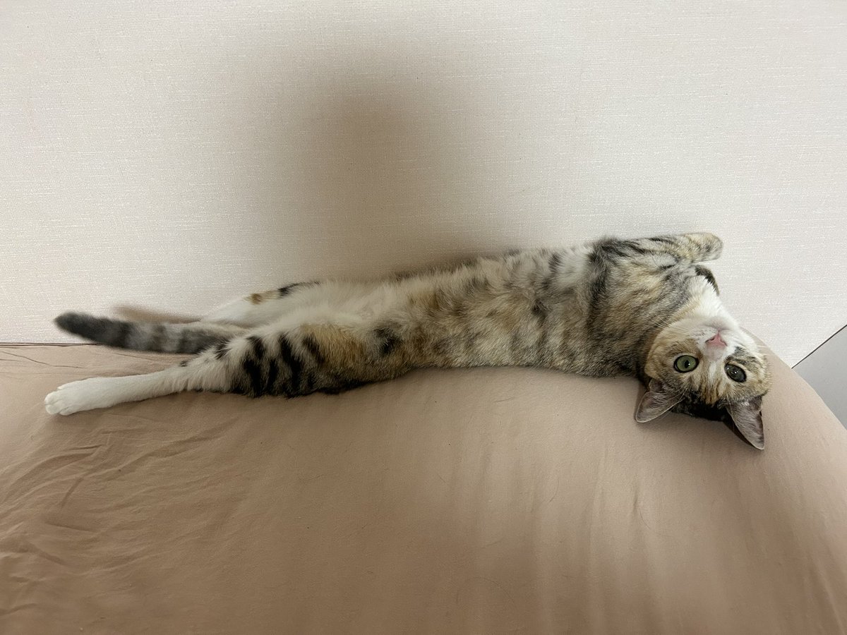 daehongsi's tweet photo. ㅋㅋㅋㅋㅋ 진짜 길다 https://t.co/BtBPBBHBWa