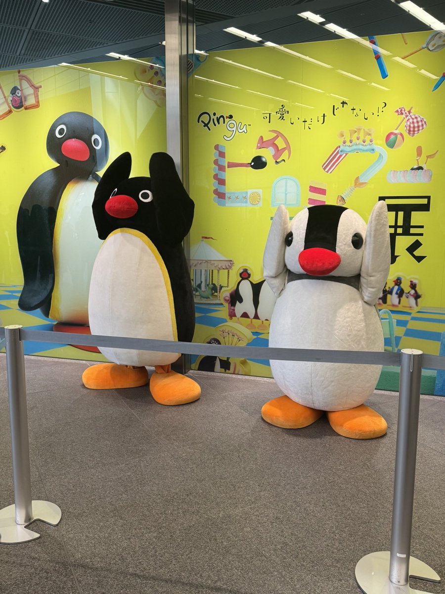 gurio_1022's tweet photo. ピングー展①
2020年ぶりのピングー展！
まずはピングーがお出迎えして、ハイタッチ会🫷アイドルすぎた。

さすがに初日初回の時間なだけあってみんなピングーLOVE🫶で、みんなにっこにこの幸せ空間🫶 https://t.co/M1oOav7N62
