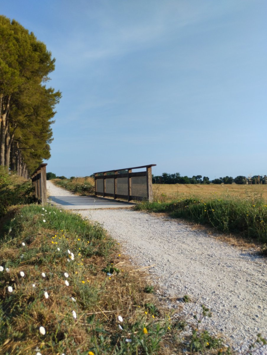 anto_dts's tweet photo. #Baratti #Populonia luglio 2026 https://t.co/lJ1OluLYai