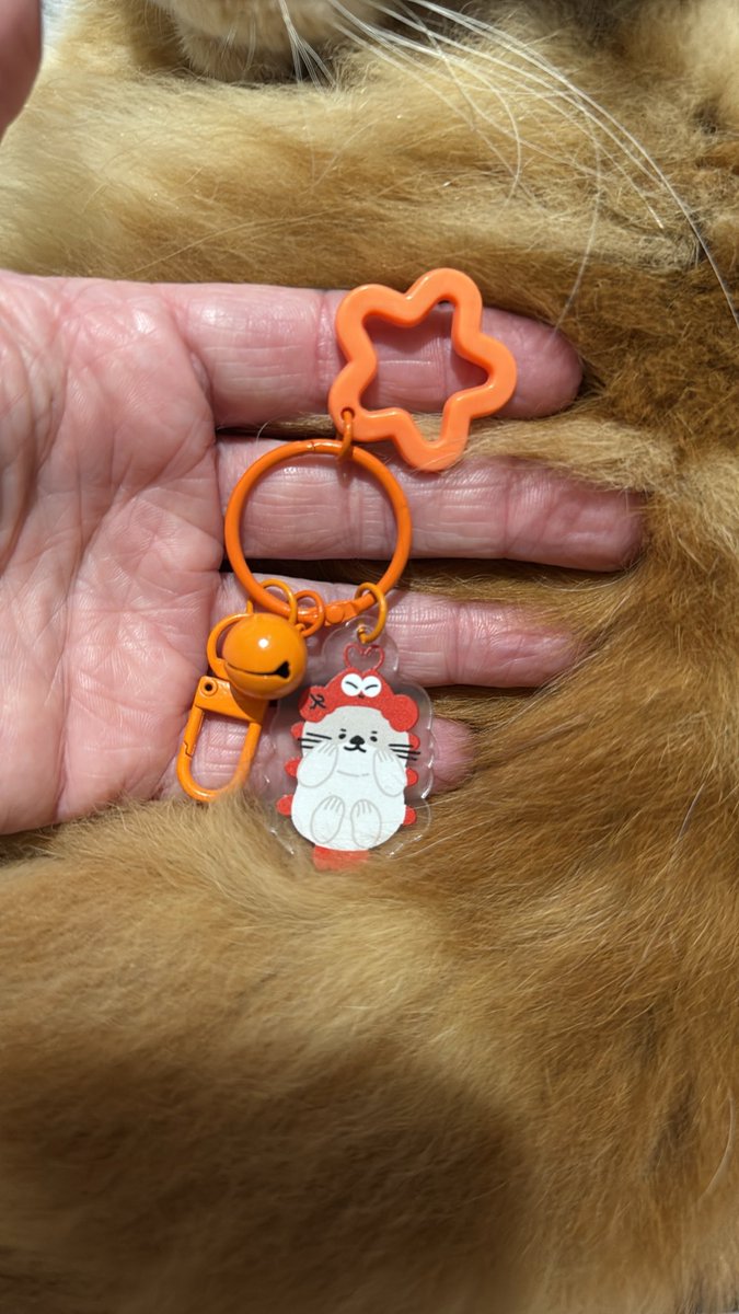 xiikah's tweet photo. Zero maturidade para o meu #nongnooong 🧡 https://t.co/hvVRR8wssE