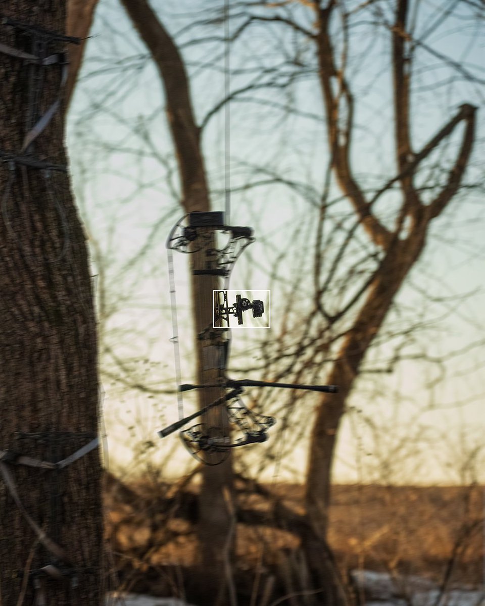 truball_axcel's tweet photo. Swipe to get a closer look at the AXCEL® Driver 👀🔍
Shoot an AXCEL® Driver sight at the ASA Bowhunter Games, and you could win one of FIVE $1,000 checks.
💸
See you in Clarksville next month! 🙌
-
#ASAArchery #giveaway
#axcel #Driver #axcelDriver #axcelsights
#RealNumber1 https://t.co/qSrLchy4Pf