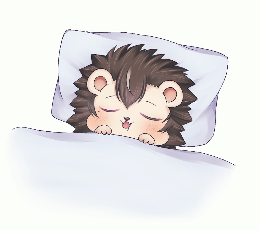 hari_noa's tweet photo. もう寝る！おやすみ！ https://t.co/5nn22AqQQG