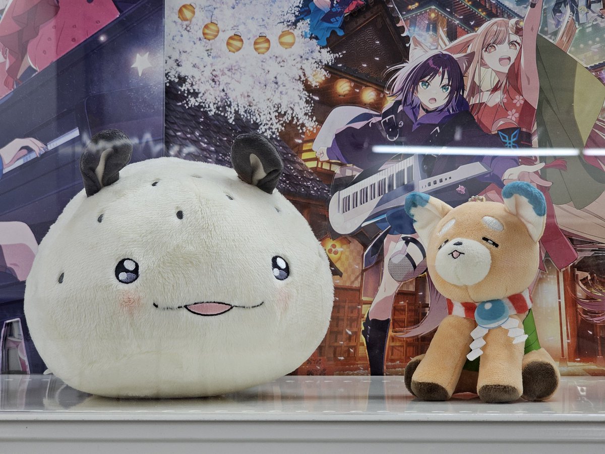 motiku_Let_go's tweet photo. あああああああああああ秋葉原のゲーマーズにFUSHIと犬DOGEのぬいサンプルあるじゃん！！！
FUSHIでかい！めっちゃふっくらしてる！犬DOGEとちょこんとしててかわいいーーー！！ https://t.co/B8NFH72PBz