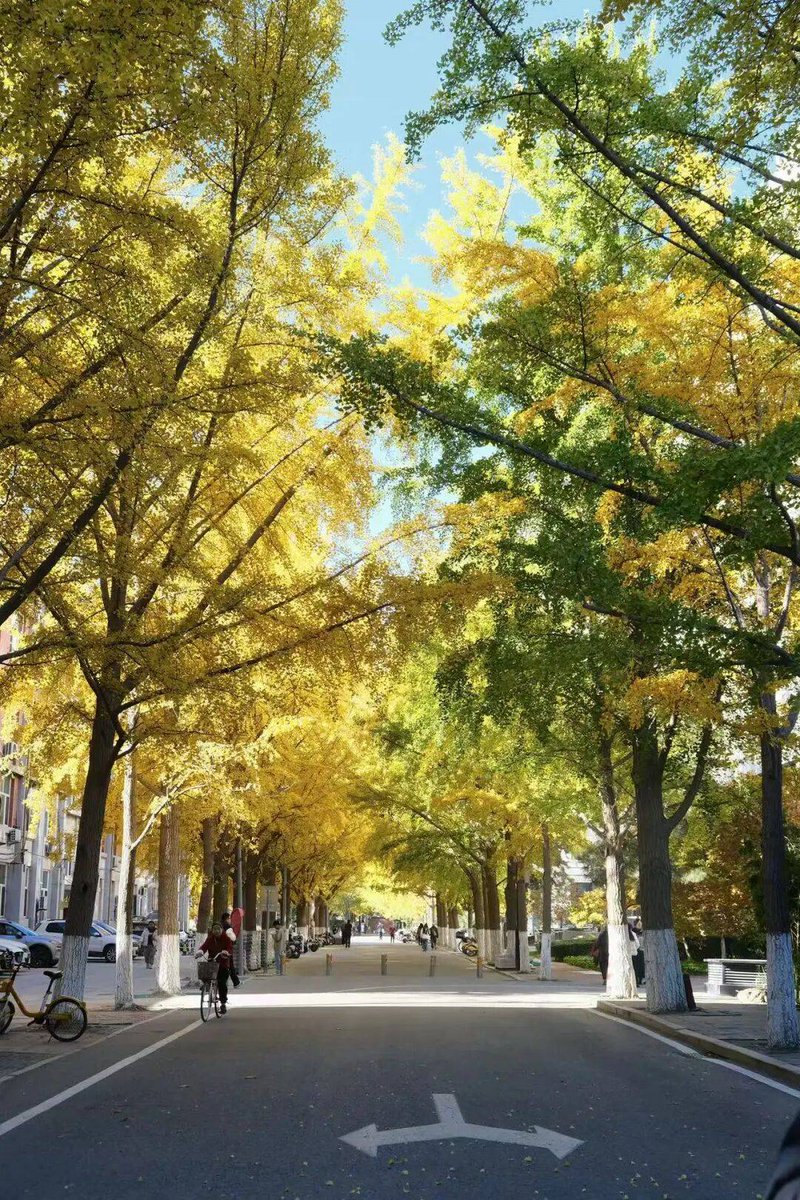adydn84398148's tweet photo. New semester, new vibes, fresh starts—let’s crush this term one goal at a time! https://t.co/dkDMO04RpR