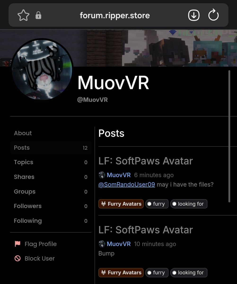 DippersVR AD tweet media