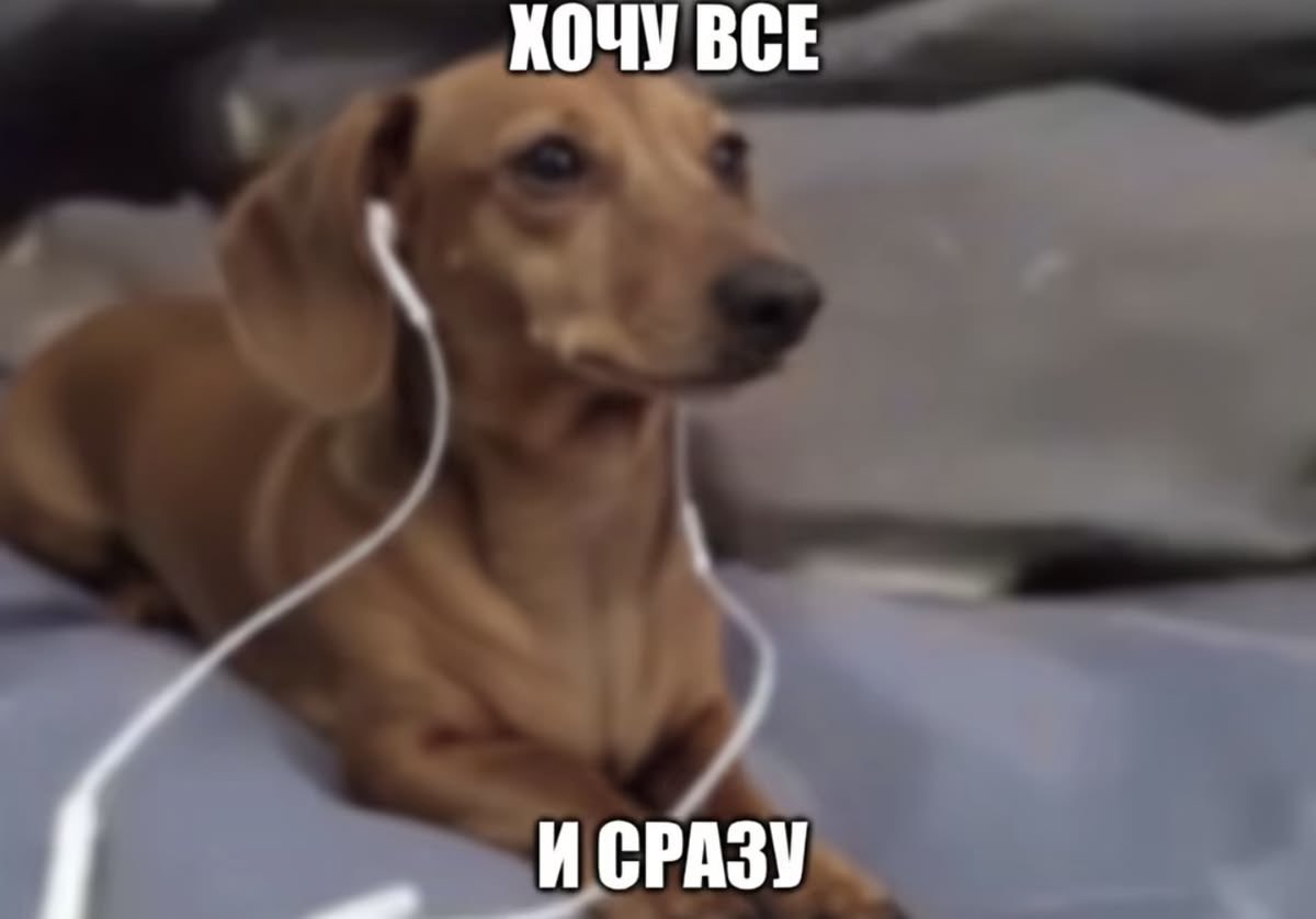 pitchblackkkkk's tweet photo. Причина моих страданий сегодня https://t.co/qh9Q1IlMKE