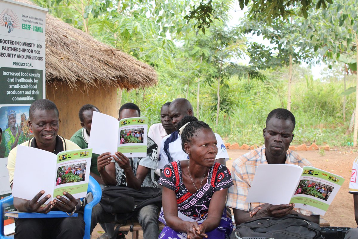 ESAFFUG's tweet photo. This week, we are in Amuru and Serere districts training Agroecology Ambassadors and selected Farmer Field School (FFS) members on the application of agroecology principles and practices under the Rooted in Diversity (RiD) project.

Equipping model farmers with practical skills in agroecological practices makes them catalysts for farmer-to-farmer learning, helping more communities restore soil health through practices such as composting and accelerating the transition to sustainable, more resilient food systems.

#AgroecologyNow | #FundAgroecology