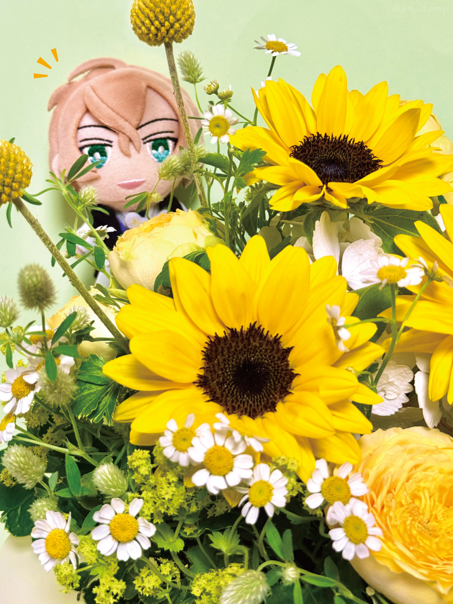 hm_temp's tweet photo. ☺️🌼 https://t.co/X3FgCWN2yW