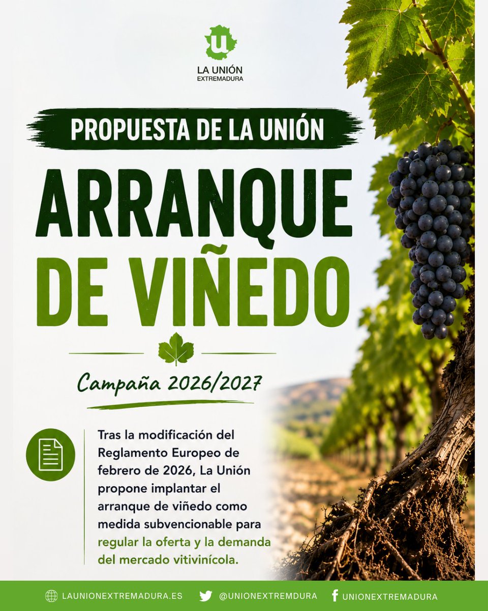 unionextremdura's tweet photo. 🍇 La Unión de Extremadura propone implantar el arranque voluntario de viñedo como medida estructural para adaptar la producción a la demanda del mercado vitivinícola. La organización plantea una ayuda de 5.000 €/ha y su aplicación desde la campaña 2026/2027. 🚜 #Viñedo #Vino https://t.co/pYLhJMiOFx