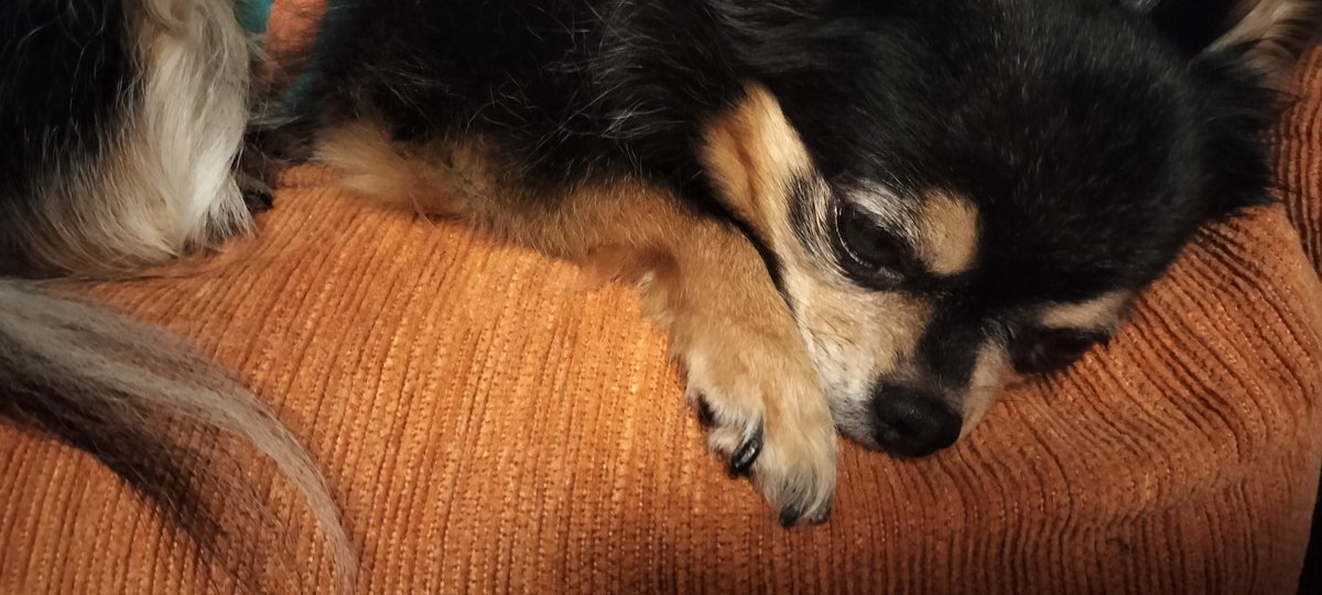at_home2004's tweet photo. 暑い🔥しか言葉が出ません。さて、金曜日、久しぶりに2人での🈺になります🥰お会いできるのを楽しみに首をなが〜くしてお待ちしております👯 #福岡ビアンバー #セクマイ #落ち着いた雰囲気 https://t.co/ndJrJFtEFJ