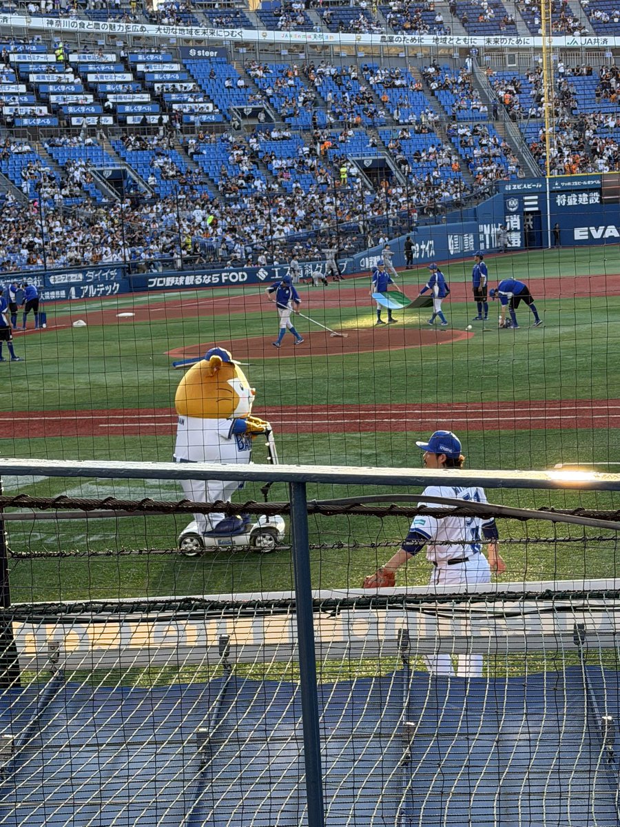 Tea_gbd's tweet photo. 今日も野球⚾️
めっちゃ近い https://t.co/Ak4XD11cga