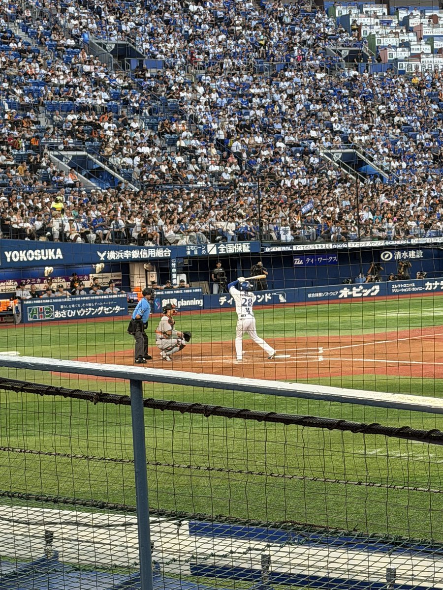 Tea_gbd's tweet photo. 今日も野球⚾️
めっちゃ近い https://t.co/Ak4XD11cga