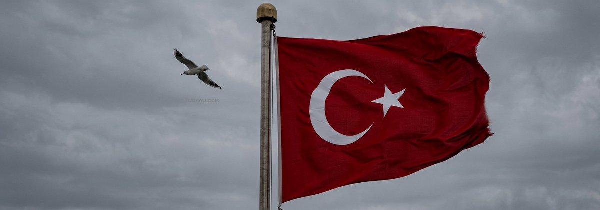 emresryl's tweet photo. Şâh-ı gülistândan güzelsin güzel https://t.co/5qGgswZlsd