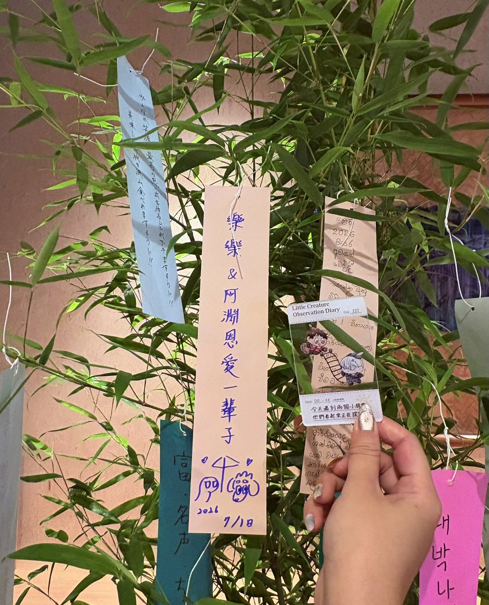 buuuuu8le's tweet photo. 以前我周邊也是買很多還會收藏
雖然很喜歡但有點像是工作壓力太大很想要一直花錢，加上捨不得用，啊有些主題不好出清🥹
後來離職後慢慢轉變成買書為主，然後其他附贈的非紙片類就會拿出來用好用滿👍
會買貼紙啊購物袋啊哪些也是用好用滿👍
剩下的話放圖片～ https://t.co/Eh9wIiJ6zY
