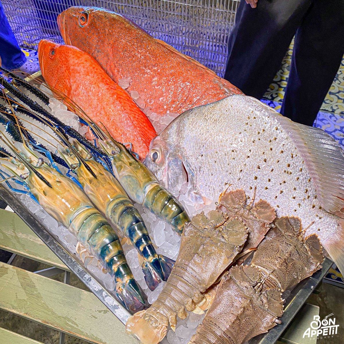bon_appetitbkk's tweet photo. //แปะพิกัดน้าาา🎣

📍มหาสมุทร สุกี้และซีฟู๊ด
ซอย จรัญสนิทวงศ์ 44 แขวง บางพลัด กรุงเทพมหานคร 107006
https://t.co/UPqqAux1SD 
⏰ : 12.00 - 22.00 น. (ปิดจันทร์)
📞 : 082-226-1924 https://t.co/MnAzeUwpnu