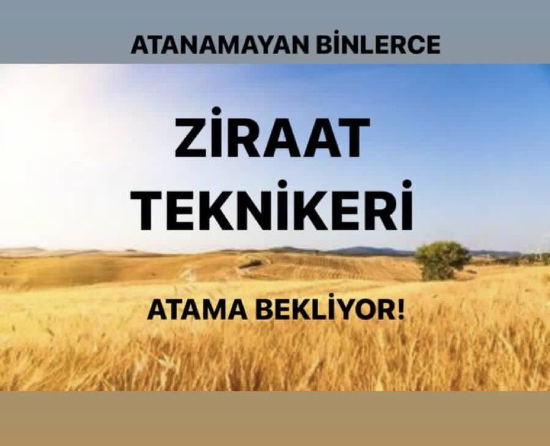 ziraattek's tweet photo. @ibrahimyumakli @_cevdetyilmaz @aBayraktar1 Sayın bakanım 2020-2022-2024 Kpss puanlarıyla Tarım Bakanlığı'na ziraat teknikeri alınmadı, puanlar boşa gitti. DSİ, TÜRKŞEKER, TMO, TİGEM gibi KİT'lerde teknikerlere daha çok şans verilmeli! Artık sesimize kulak verilmeli
@Seyfullahaslntk 

#ZiraatTeknikerleri750AtamaBekliyor https://t.co/tSFXsVbvWI