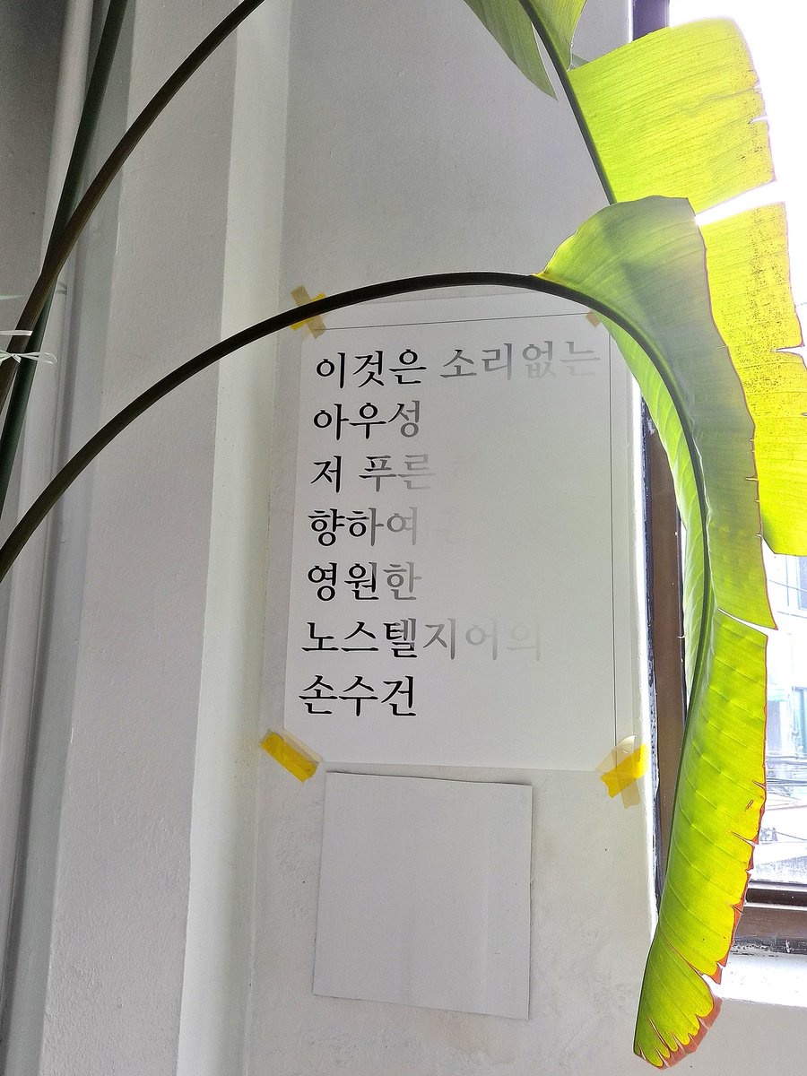 ꜰɪɢᴀʀᴏ tweet media