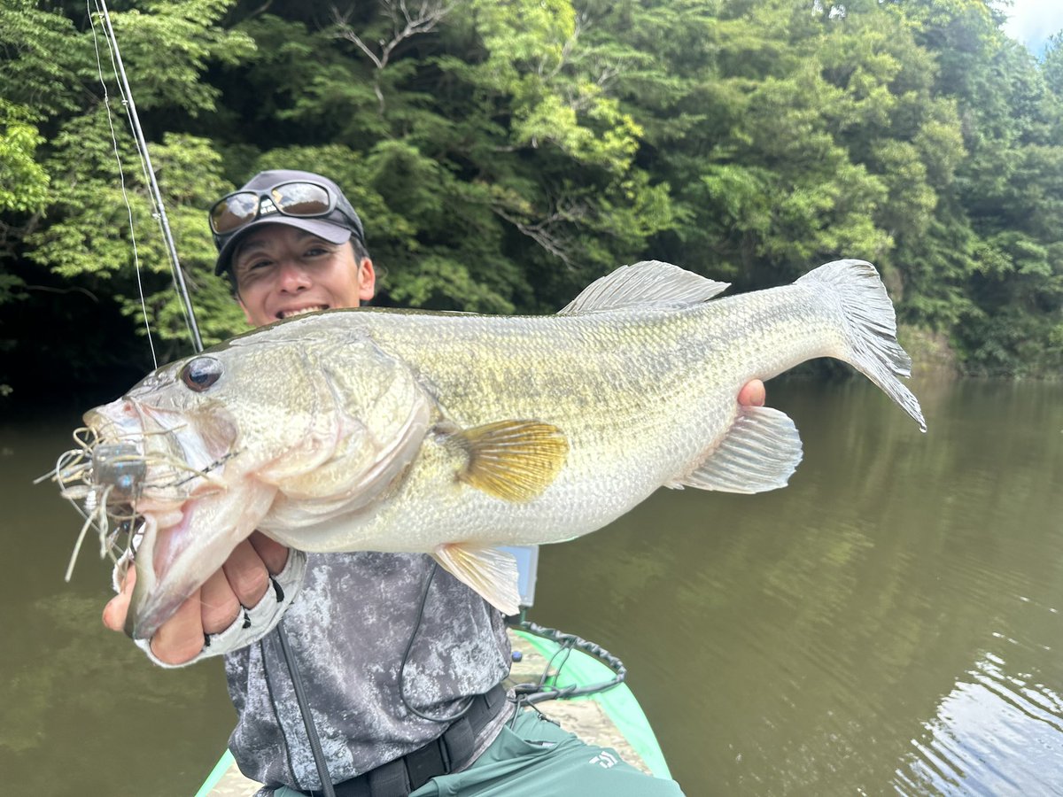 katsuya_sasaki's tweet photo. 本日は幸雄さんと一緒に豊英ダム‼️クアッドフォーゼ祭りで56.5、52、50、48、47〜とボコボコでした🔥
52センチはプロトのメガフォーゼのモリケンリグをバンクに投げてスイミングでキャッチ‼️56.5、50、48、47センチなどなどはクアッドフォーゼの2.4gモリケンリグのスイミングにて🫡クアッドフォーゼの中層スイミングは両端のテールをカットしたノーマルモードで👍
クアッドフォーゼの釣り楽しい😭