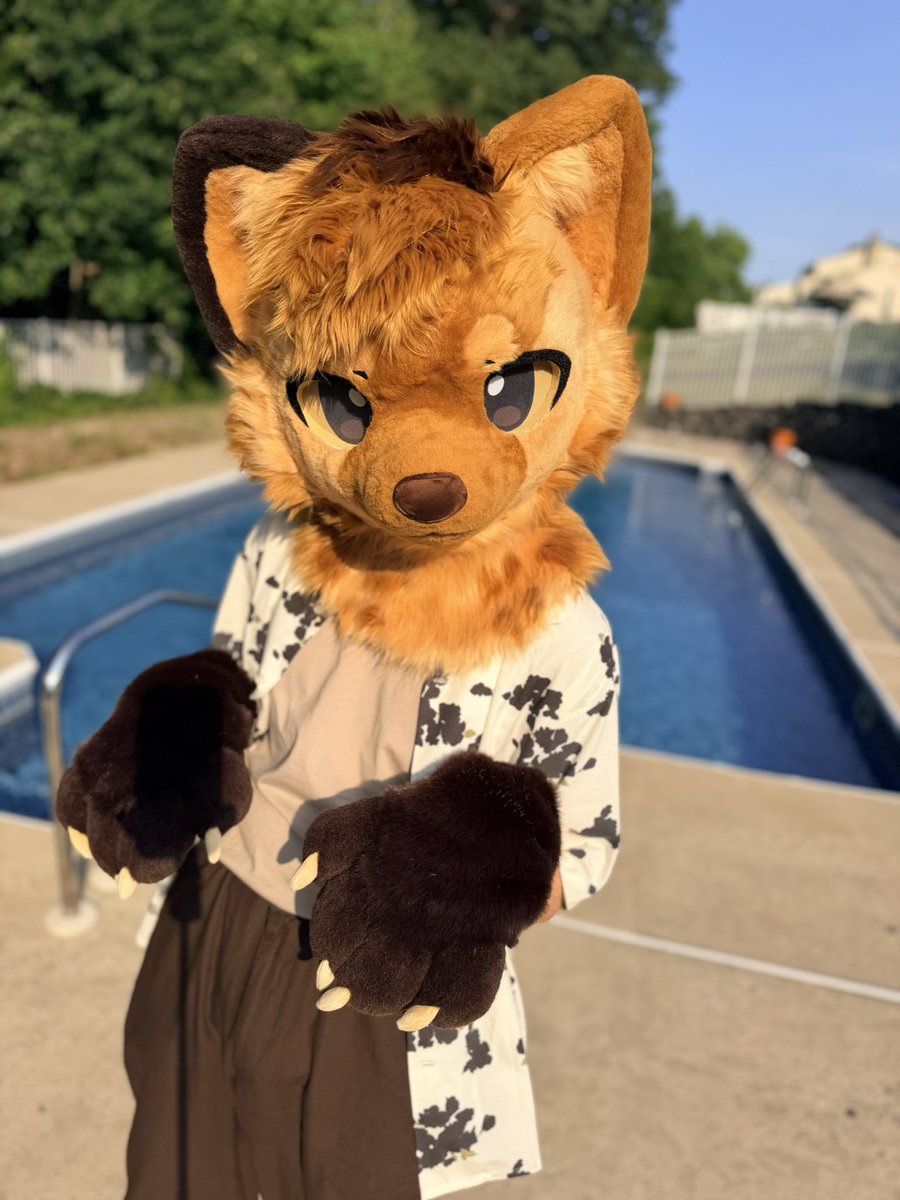 Clancy Marten tweet media
