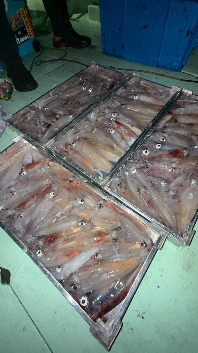 fishingmaxinfo tweet picture