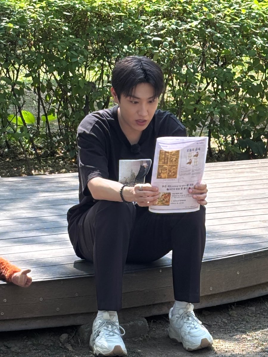 洋書 Abduction in Context Woosuk Park in Context Park Woosuk Abduction 洋書
