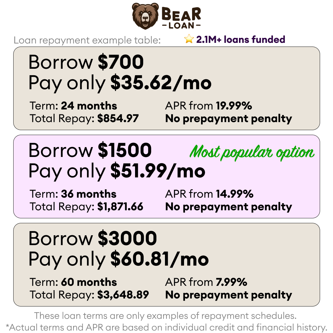 TheBearLoan's tweet photo. 💵 Discover the best offers now!