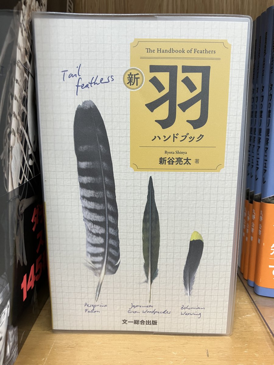文一さんぽいと思ったら…🐥🐦🐤