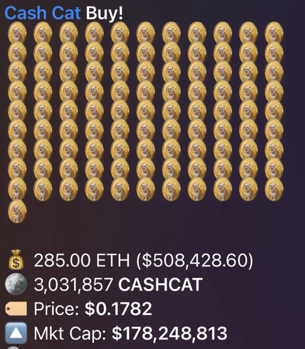orenjixbt's tweet photo. $500k in 1 clip on $CashCat . MEMES ARE SO BACK 🔥 https://t.co/tG2mZushHd