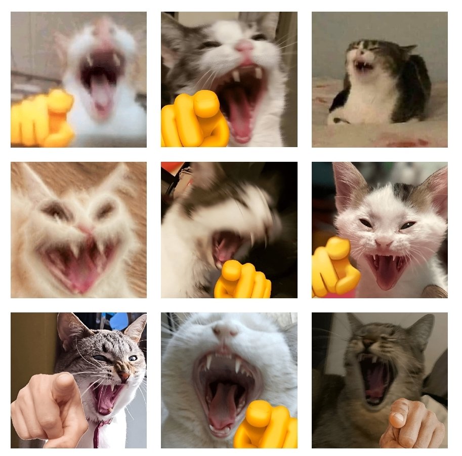 HAHAHA CAT🐈🫵🀄 tweet media