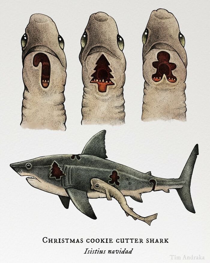 pmamtraveller's tweet photo. "Christmas Cookie Cutter Shark" by artist Tim Andraka. https://t.co/Lb9kdyvmlL