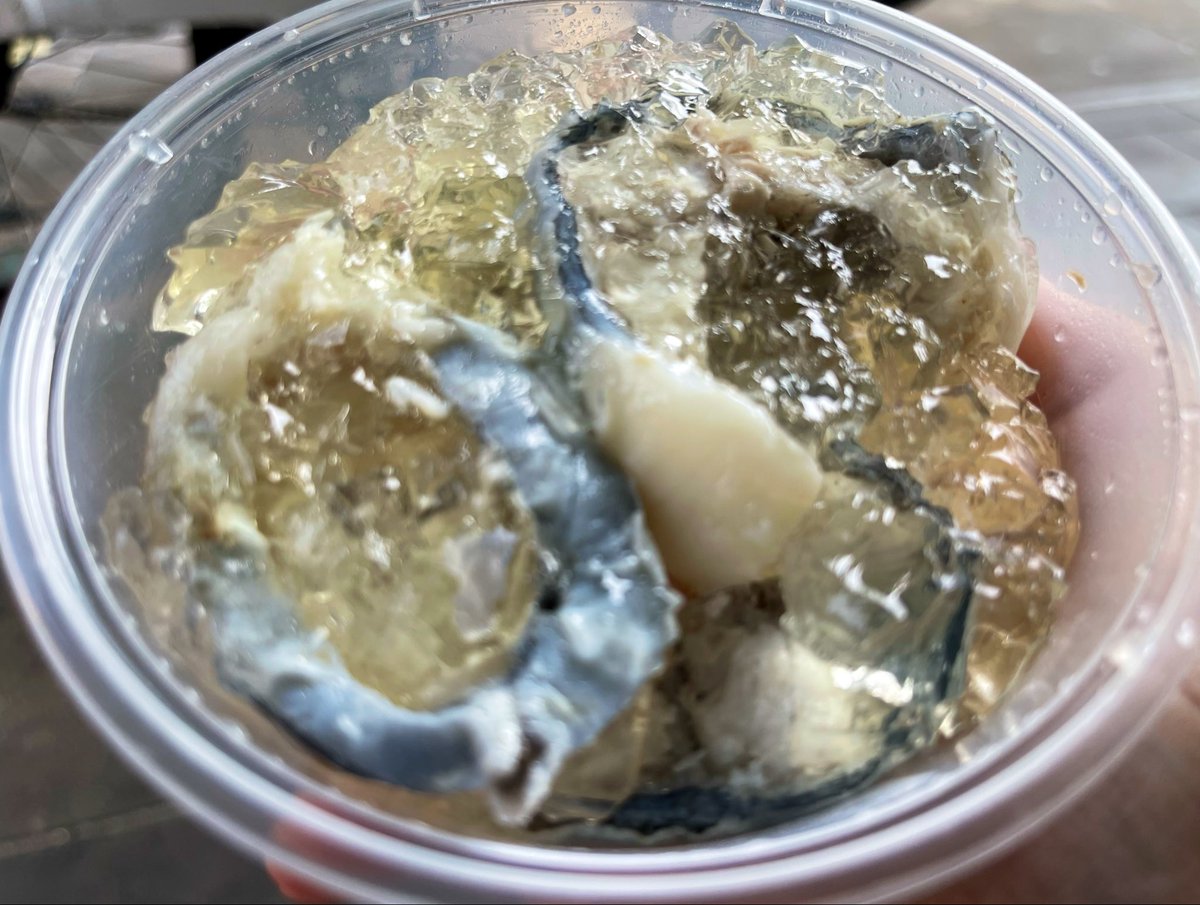 samenoh_'s tweet photo. ウナギのゼリー寄せウマーー！！！！！！！！ https://t.co/Wmi39Ch4Ms