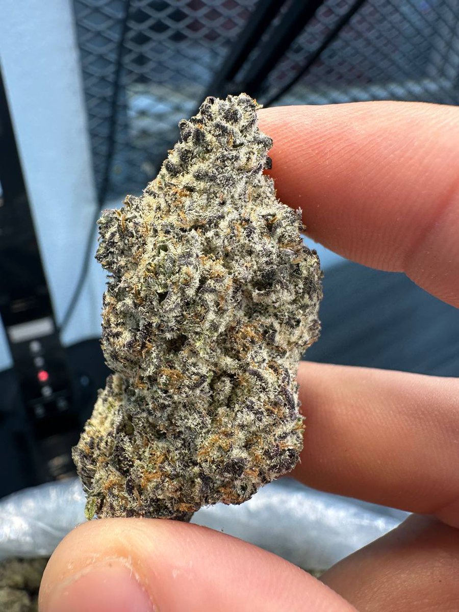 Johnsonkoxs's tweet photo. Dmt cakes &amp; carts 🥧 
#weed #Alaska #alaskaweed #Kissimmee #Miami #Davenport #Poinciana #Disney100 #florida #LenaThePlug #CannabisCommunity #tampa #stoners #plug #plugs #plugins #billionair #futurebillionaire #billionaireslifestyle #billion https://t.co/LmOxtYT8XK
