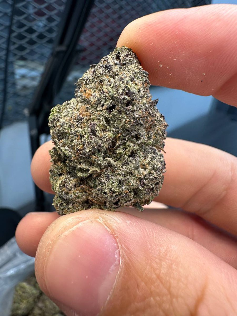 Johnsonkoxs's tweet photo. Dmt cakes &amp; carts 🥧 
#weed #Alaska #alaskaweed #Kissimmee #Miami #Davenport #Poinciana #Disney100 #florida #LenaThePlug #CannabisCommunity #tampa #stoners #plug #plugs #plugins #billionair #futurebillionaire #billionaireslifestyle #billion https://t.co/LmOxtYT8XK