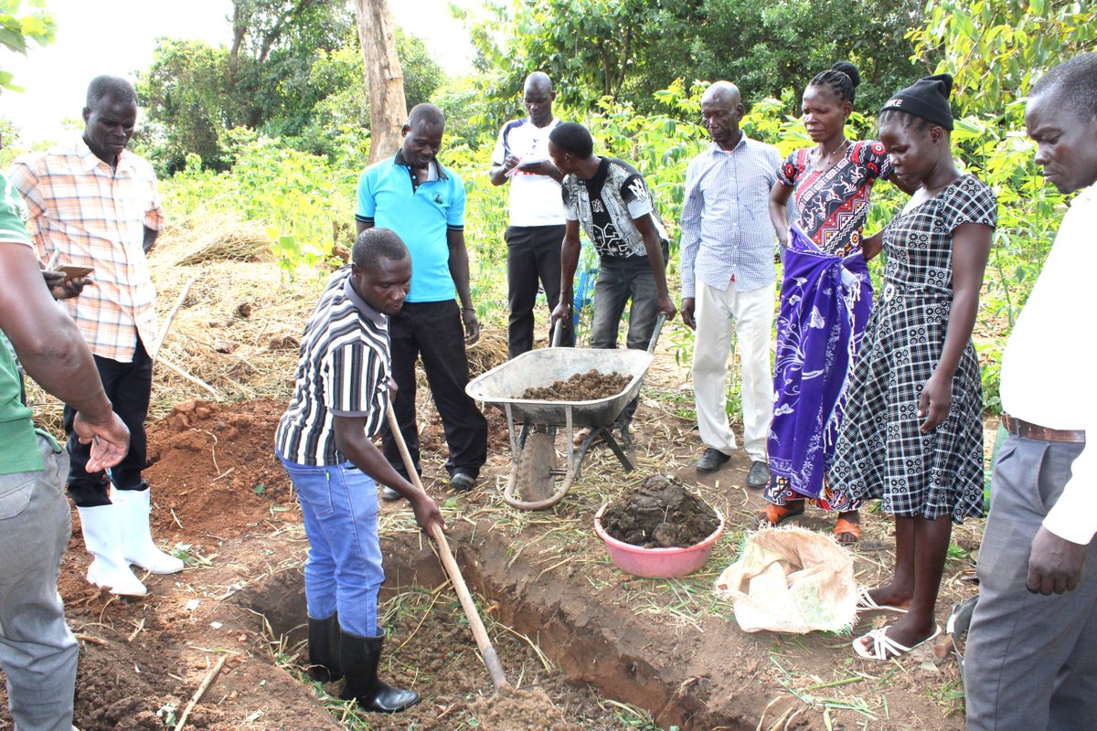 ESAFFUG's tweet photo. This week, we are in Amuru and Serere districts training Agroecology Ambassadors and selected Farmer Field School (FFS) members on the application of agroecology principles and practices under the Rooted in Diversity (RiD) project.

Equipping model farmers with practical skills in agroecological practices makes them catalysts for farmer-to-farmer learning, helping more communities restore soil health through practices such as composting and accelerating the transition to sustainable, more resilient food systems.

#AgroecologyNow | #FundAgroecology