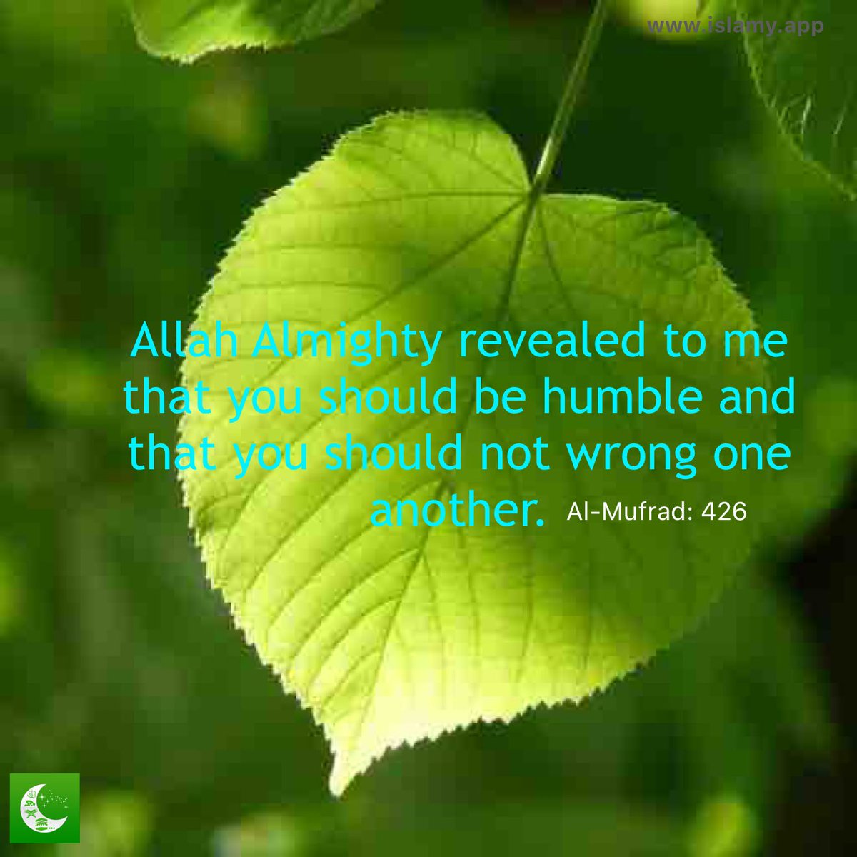 MuhammadhAhumad's tweet photo. https://t.co/bV2bl9Yj3s