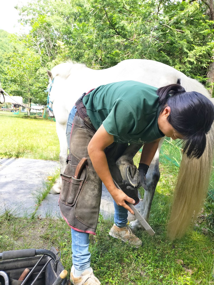 horsetherapy_st's tweet photo. 今日は削蹄の日🐴
今回もきれいに整えていただき、蹄のこともいろいろ教えてもらいました😊
暑い中、あ��がとうございました☀💦
削蹄の後は、アビィさん(@abii_horse)とのふれあいタイム😁💕 https://t.co/Q58EweszdG