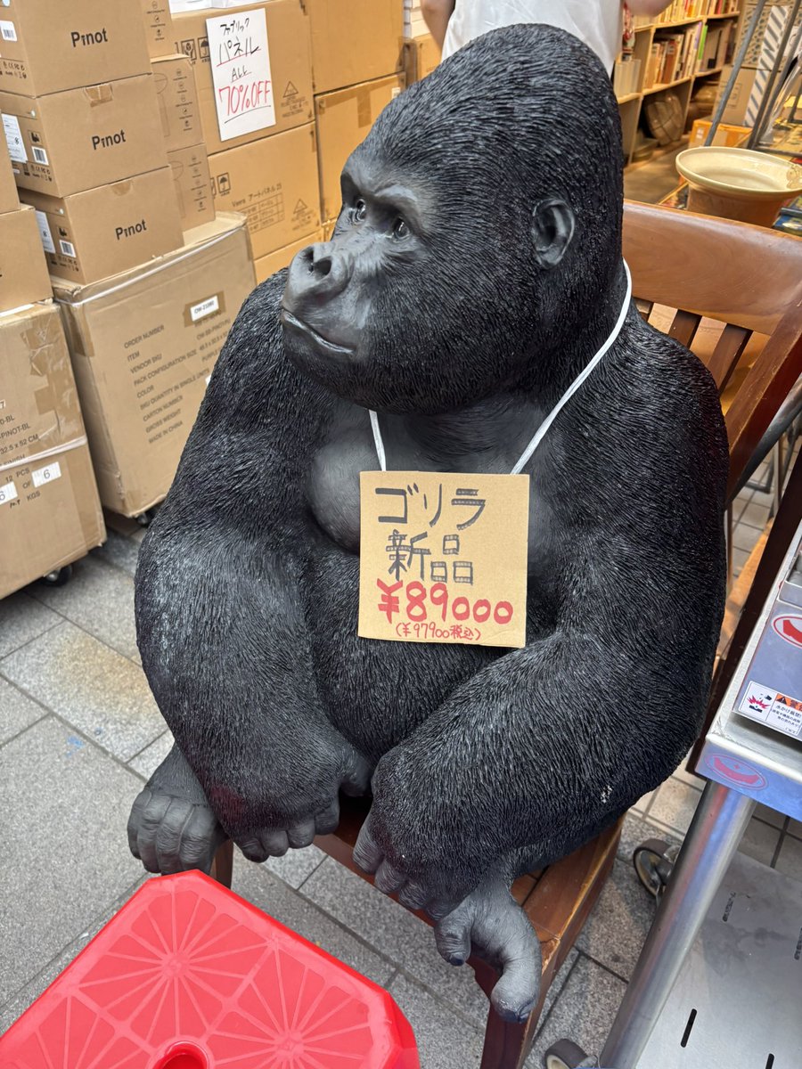 hntbht's tweet photo. 吉祥寺で甲冑とゴリラ売ってた https://t.co/lVEAz91hdy