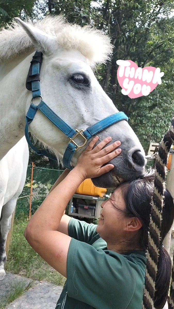 horsetherapy_st's tweet photo. 今日は削蹄の日🐴
今回もきれいに整えていただき、蹄のこともいろいろ教えてもらいました😊
暑い中、あ��がとうございました☀💦
削蹄の後は、アビィさん(@abii_horse)とのふれあいタイム😁💕 https://t.co/Q58EweszdG