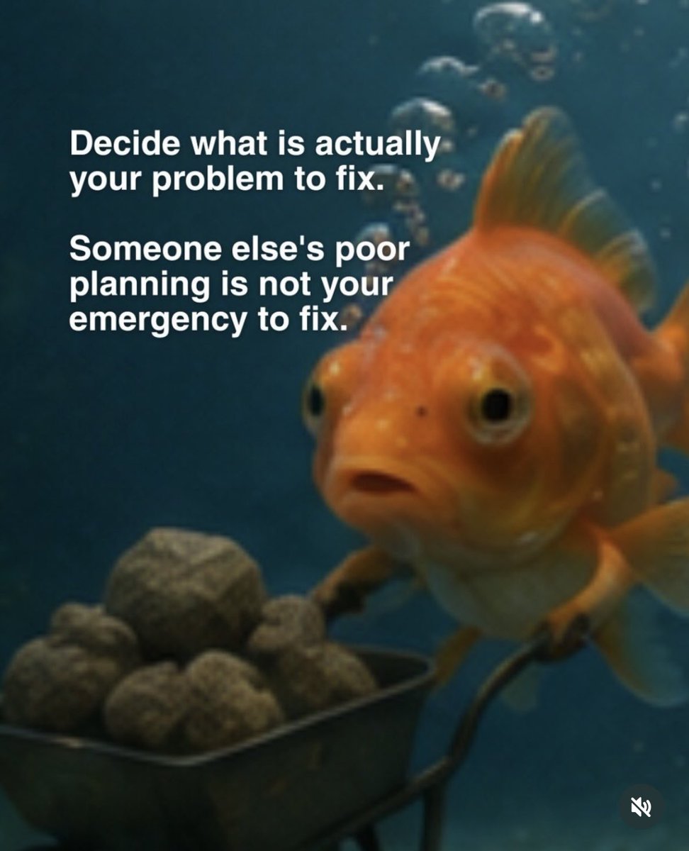 thisisailin's tweet photo. Lessons from goldfish https://t.co/fBEwIJiS15