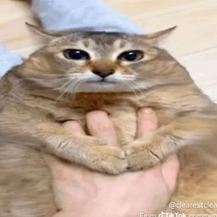 imscaredaaaaaimscaredddd☭ tweet media