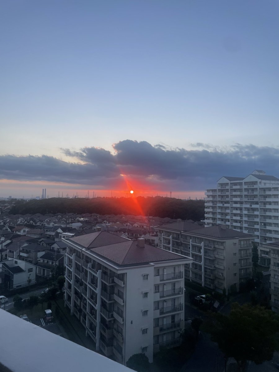 hooo55219's tweet photo. 昨日取れた写真　なんか悍ましい https://t.co/gO9NVRGLbB