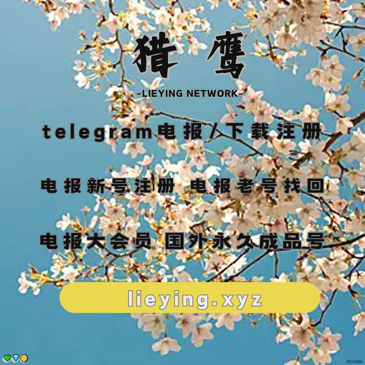 BenthamSim45440's tweet photo. OpenAi账号
飞机号
纸飞机 电报收不到验证码
苹果id 电报怎么汉化 https://t.co/0MucxeQ2MC