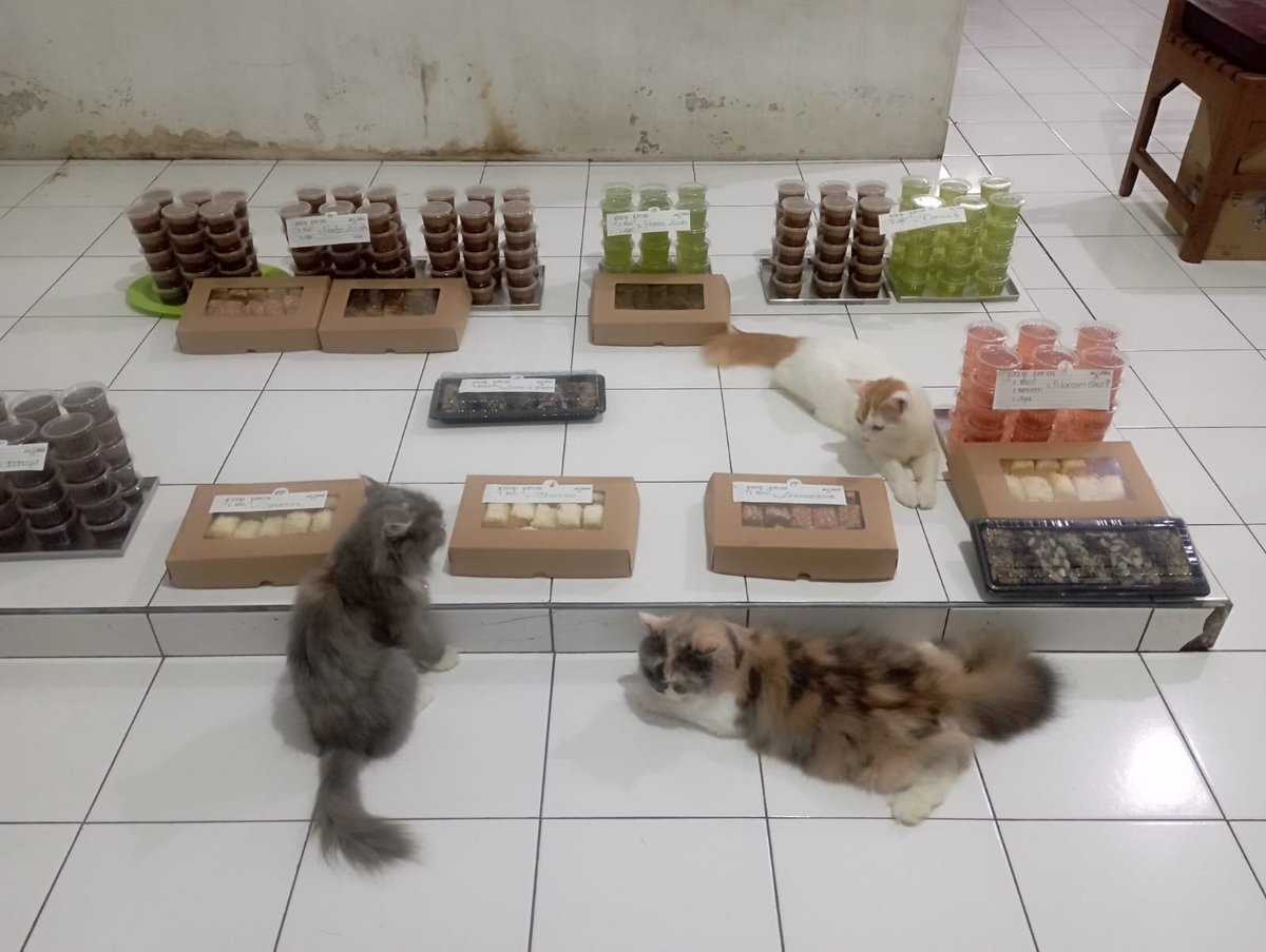 DapurMocca's tweet photo. Jastip Jumat Berkah selama bulan Mei ✨ https://t.co/i4iVtPE715
