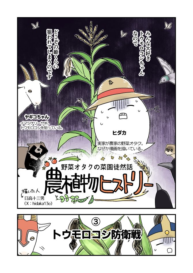 hidaka13o's tweet photo. 猫飼いがトウモロコシを育てる理由（１/４）
#漫画が読めるハッシュタグ
#サビ猫 https://t.co/s77XJdLVX1