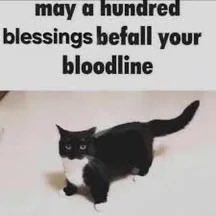 ChangelingExile's tweet photo. @PrincessSunnyD https://t.co/htE4KuS519