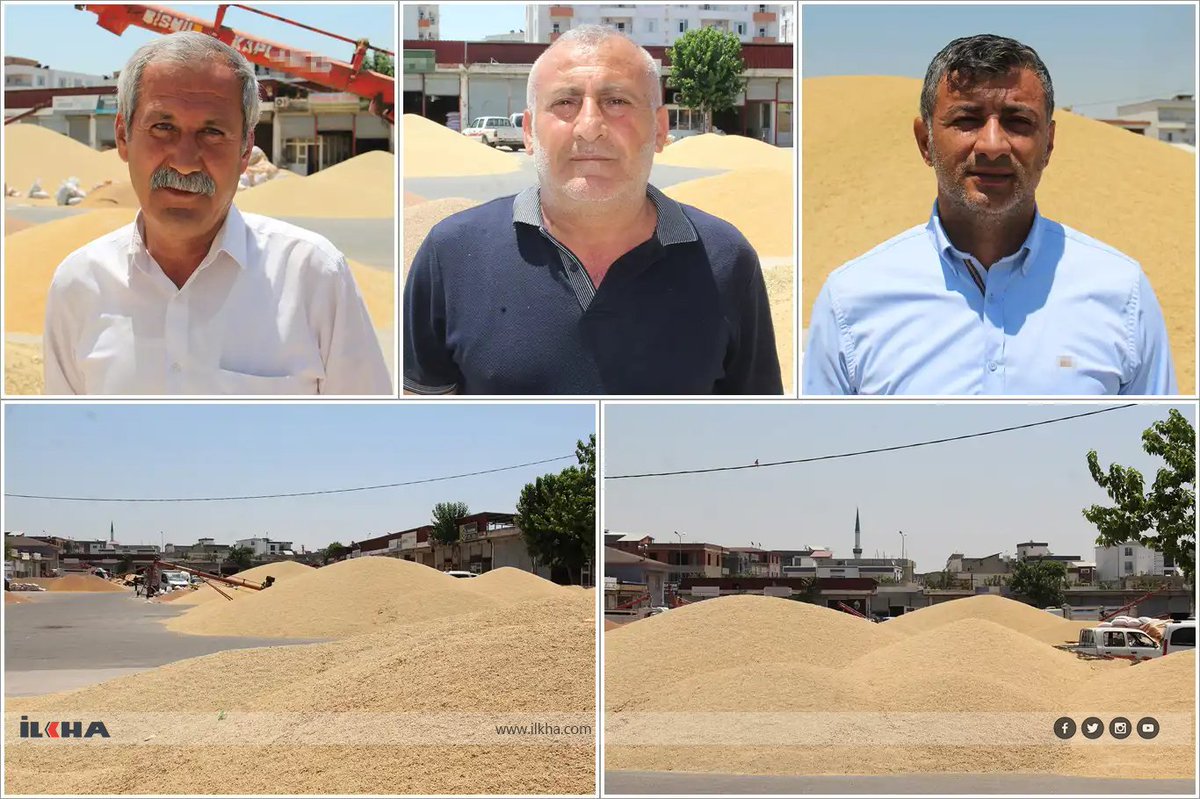 ilkeHaberAjansi's tweet photo. Buğday piyasası kilitlendi: Üretici ve tüccardan TMO'ya "ÇKS" çağrısı

https://t.co/yh5vt5R1UE https://t.co/U3tD4hiPeX